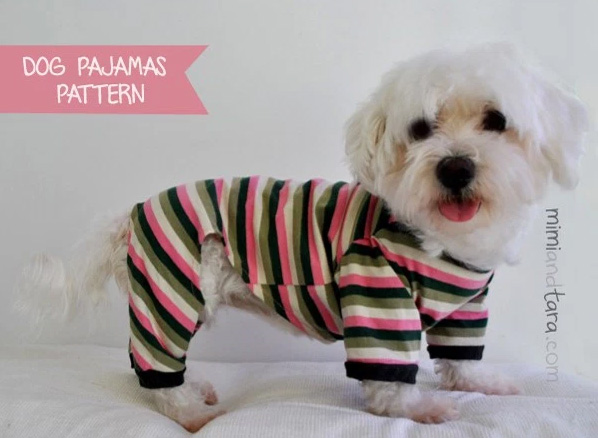 diy dress for dogs