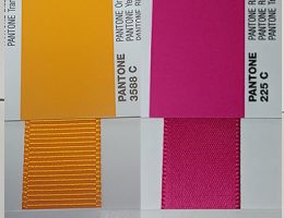 PMS Matching Ribbon, Pantone Matching Ribbon, Custom Logo Ribbon, Satin Ribbon, Grosgrain Ribbon, Organza Ribbon, Custom Branding Ribbon, Event Ribbon